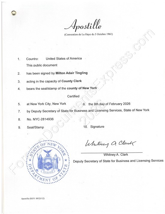 Hague apostille from New York